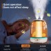 Qbrand 3.0L Antibacterial Humidifier Aroma Diffuser Ultrasonic Air Humidifier Home Appliances