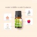 ATHENA 100% Natural Oils Essential Oil for Aroma Humidifier Water Soluble Oil with Multiple Scents
